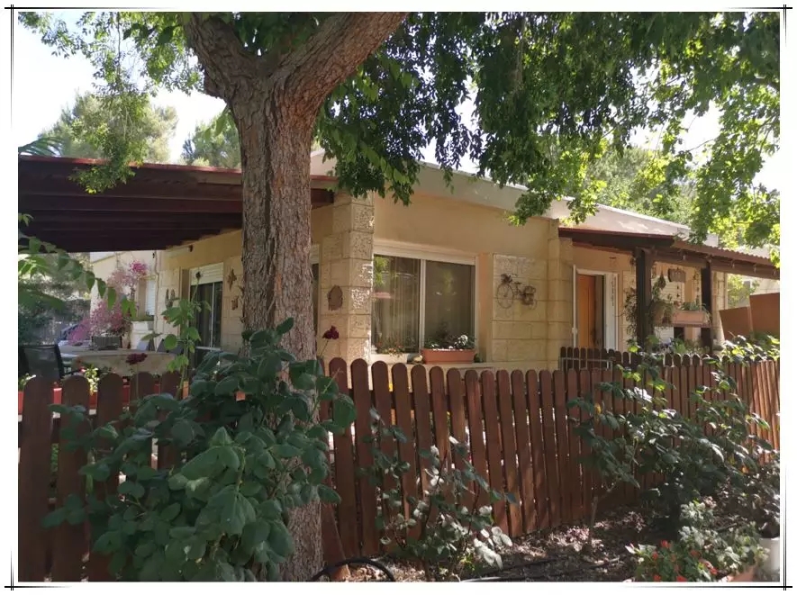 zbo智博1919com·(中国有限公司)官方网站