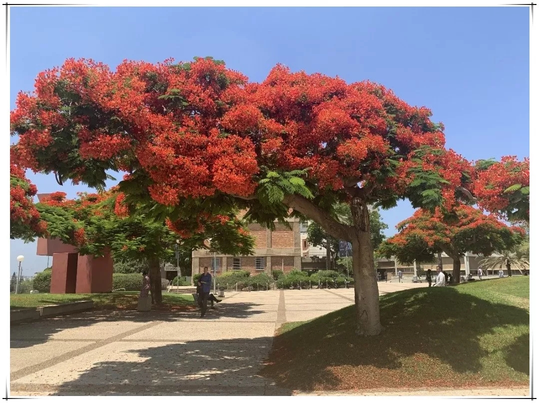 zbo智博1919com·(中国有限公司)官方网站