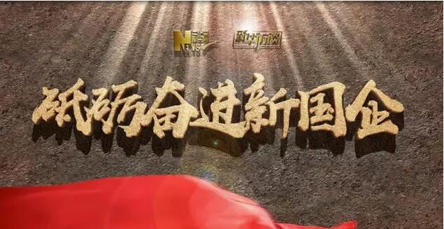 新华网：宋志平：党建做得好的企业，，，，，，谋划得也相当好│砥砺奋进新国企系列访谈20170801