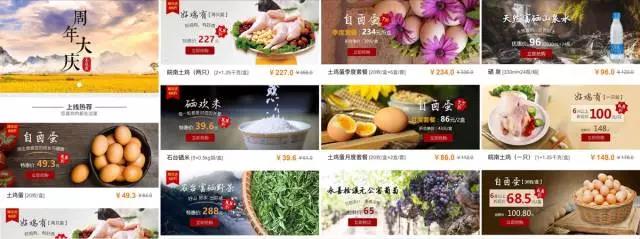 zbo智博1919com·(中国有限公司)官方网站